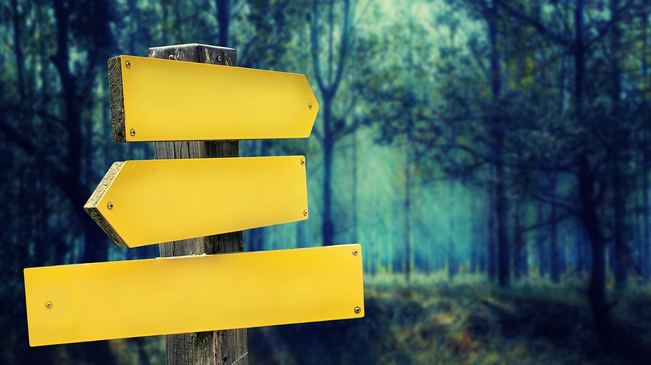Wooden signposts pointing different ways in a forest