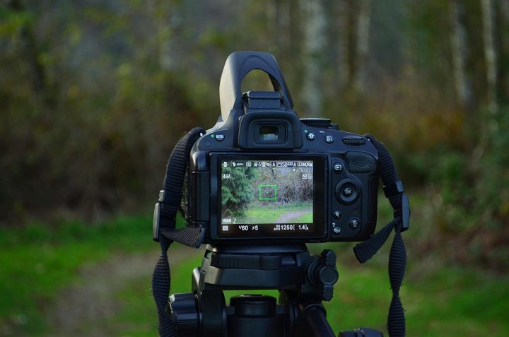 A video camera on a tripod filming in the woods